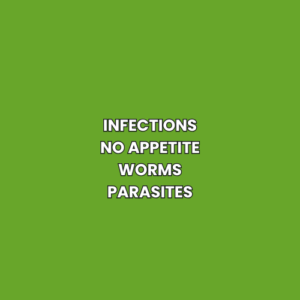 Infections No Appetite Worms Parasites