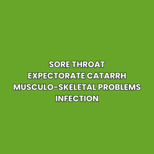 Sore throat Expectorate catarrh Musculo-skeletal problems Infection