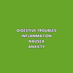 Digestive troubles Inflammation Nausea Anxiety