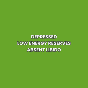 Depressed Low energy reserves Absent libido