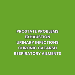 Prostate problems Exhaustion Urinary infections Chronic catarsh Respiratory ailments