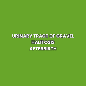 Urinary tract of gravel Halitosis Afterbirth