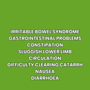 Irritable bowel syndrome Gastrointestinal problems Constipation Sluggish lower limb circulation Difficulty clearing catarrh Nausea Diarrhoea