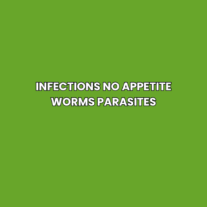 Infections no appetite worms parasites